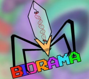 biorama